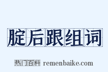 腚后跟组词是什么意思的图片